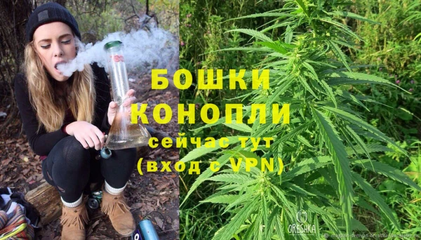 spice Михайлов