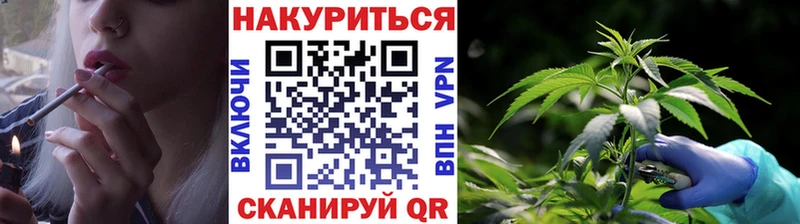 сколько стоит Шацк Бошки марихуана план